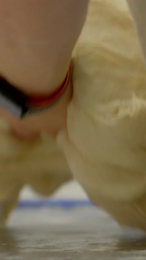 Close-up baker hands pressing and shaping elastic dough on countertop in, with Stock Footage 344571388