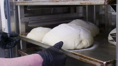 Close up of bakers adding a tray of fresh bread dough to the oven Stock Footage 280584706