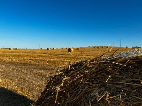 Close-up of a bale of hay in a field Stock Photos