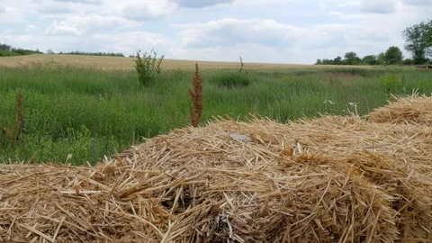 Close-Up of Bale Hay Stock Footage 127067445
