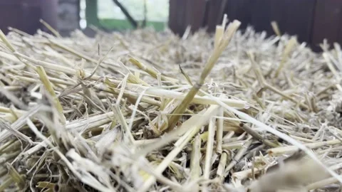 Close-up Bale Of Straw On A Farm Stock Footage 219674553