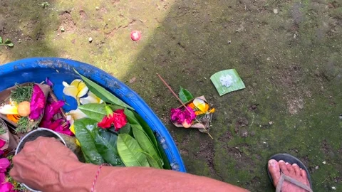 Close-up of Balinese woman's hands during morning offering ritual in Bali Stock Footage 288201768