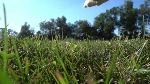 Close-up of a Ball - Old Senior Business Man with white Beard Playing Golf Stock Footage
