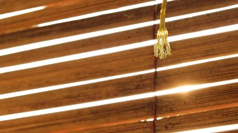Close up of bamboo blinds with sunlight Stock Footage 318947000