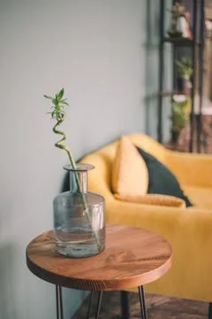 Close-up bamboo branch stands in a transparent blue vase on a wooden table on Stock Photos