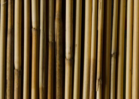 Close up of bamboo texture pattern backgrounds 스톡 사진