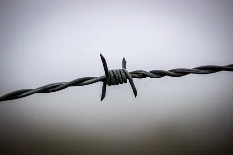 Close up of barb wire knot with greyish background and spiderweb Stock Photos