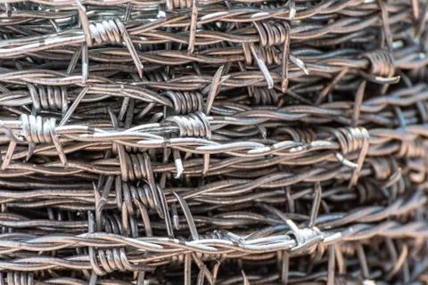 Close up on barb wire 写真素材
