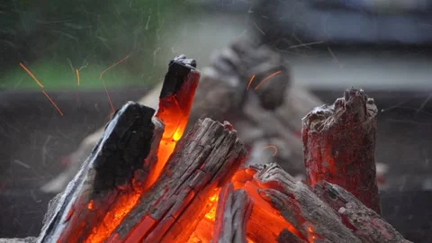 Close-up barbecue fire Stock Footage 247421013