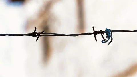 Close-up of barbed wire against a light sky. Video stock 252745366