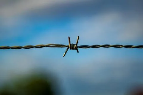 Close-up of barbed wire against a soft blue sky background. Stock-Fotos