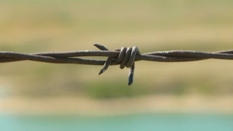 Close-up barbed wire blows in the wind Stock-Footage 114888483