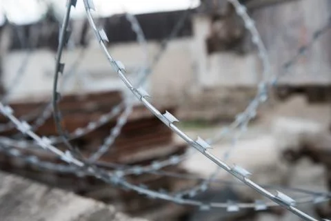 Close-up of barbed wire. Concept of restriction of freedom. Background, textu Stock Photos