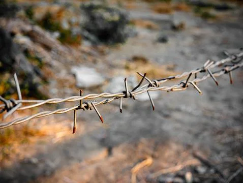 Close up Barbed wire fence on sharp edges. Foto stock