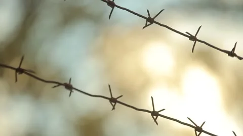 Close up of barbed wire Stock Footage 61028866
