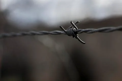 Close up on a barbed wire with narrow depth of field Stock-Fotos