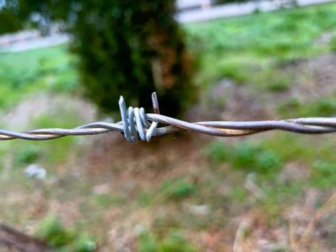 Close-up of barbed wire with natural background Stock Photos