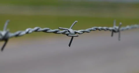Close-up of barbed wire Stock Photos