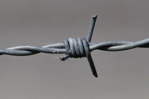 Close-up of barbed wire Stock Photos