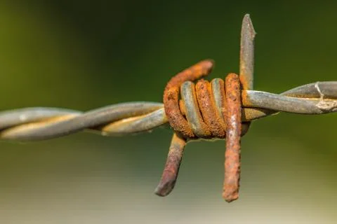 Close up of Barbed Wire Stock Photos