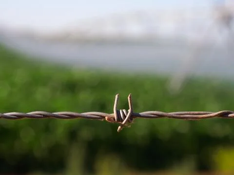 Close up of barbed wire. Stock Photos