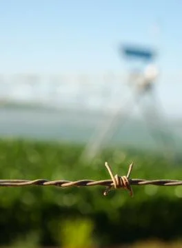 Close up of barbed wire. Stock Photos