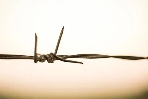 Close up of Barbed wire in the sky background Stock Photos