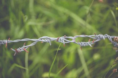 Close up of a barbed wire with a soft background 스톡 사진