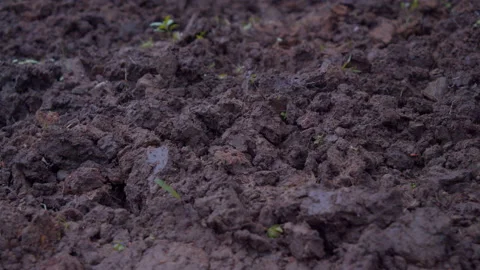 Close-up bare foot dirty farmer walking ... | Stock Video | Pond5