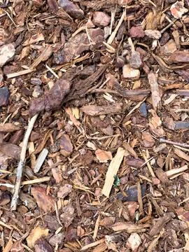 A close-up of bark dust Stock Photos