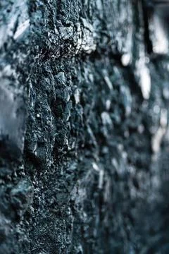 Close-up of bark on tree trunk with textured surface Stock Photos