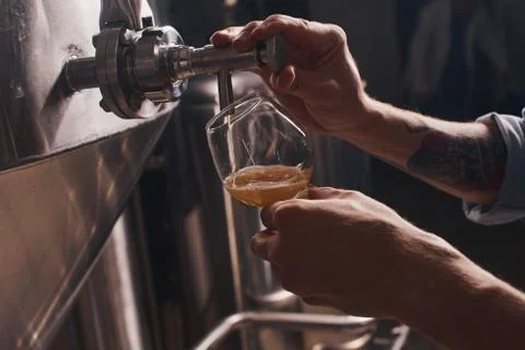 Close up of bartender at work pouring beer. Stock Photos