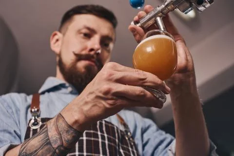 Close up of bartender at work pouring beer. Stock Photos