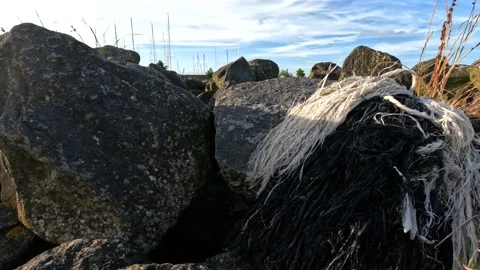 Close Up of the basalt blocks on the IJsselmeer Video stock 206677310