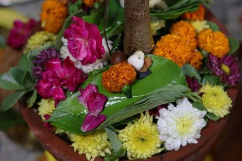 Close-up of the base of a Banyan tree decorated with marigold, roses, Stock Photos