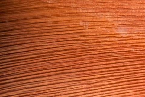 Close-up of Base of Palm Leaf Showing Interesting Pattern Stock Photos