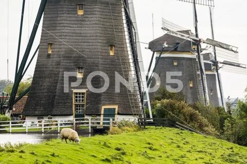 Close-up of the base of three old wooden windmills in a row along a grassy field Stock Photos