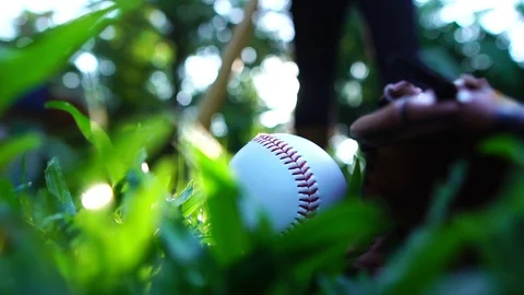 Close-up that baseball and the equipment is placed on the lawn Stock Footage 108647357