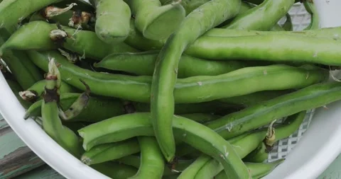 Close up of a basket of freshly picked broad beans Stock-Footage 152582679