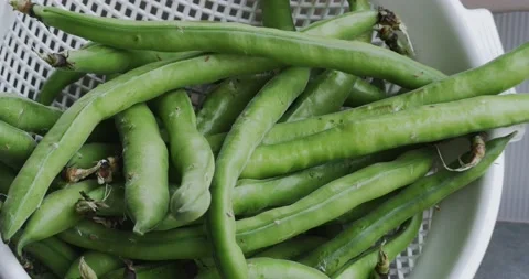 Close up of a basket of freshly picked broad beans Stock-Footage 152582708