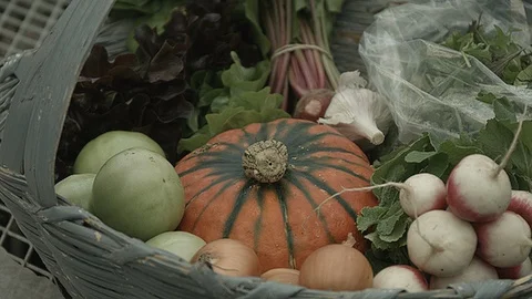 Close up of a basket of vegetables Stock Footage 86002771