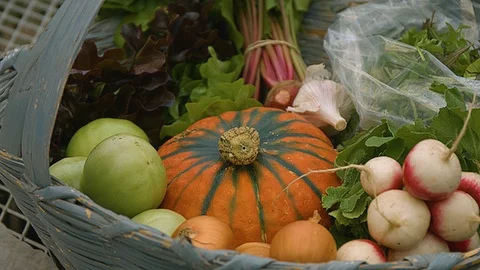 Close up of a basket of vegetables Stock Footage 86002772