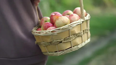 Close-up of a basket in which there are many ripe apples. Straw basket full of Stock Footage 207238240