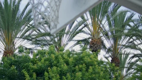 Close-up of a basketball hoop Stock Footage 115924813