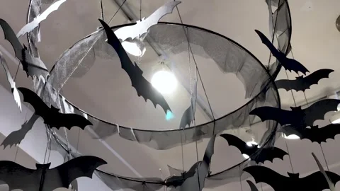 Close-Up of Bat Baby Mobile on Display Stock Footage 243956345