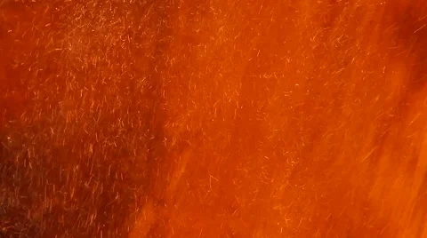 Close-up of Batch of pig iron at melting point Stock Footage 50412363