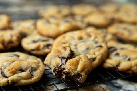 Close up of batch of warm chocolate chip cookies Stock Photos