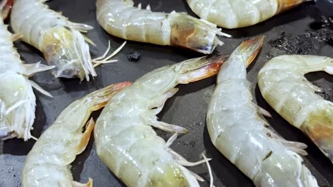 Close Up BBQ Shrimp Grilling on Hot Pan Stock Footage 340413459
