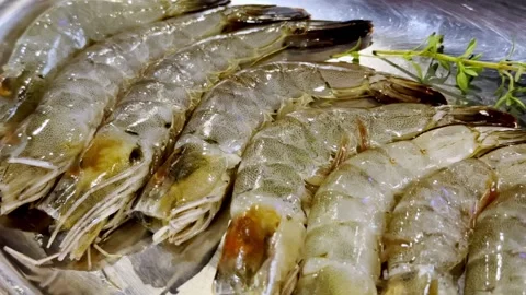 Close Up BBQ Shrimp Grilling on Hot Pan Stock Footage 340413501