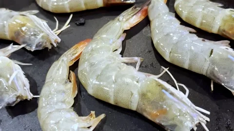 Close Up BBQ Shrimp Grilling on Hot Pan Stock Footage 340413509